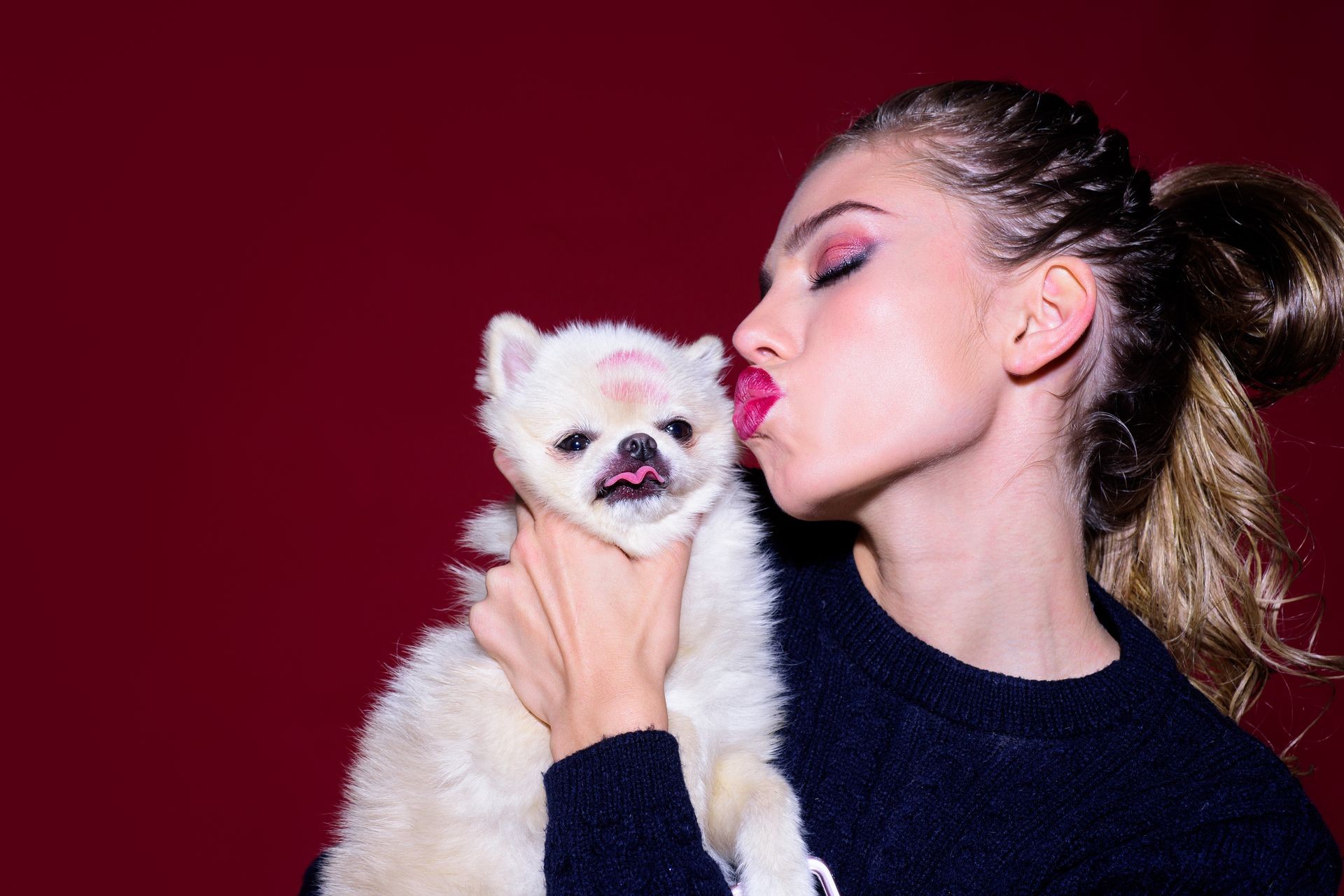 Beautiful girl holds small dog. Sexy girl hugging little dog. Woman with pomeranian spitz after grooming. Friendship, love, warm. Woman kissing sweet puppy. Girl and dog. Pets concept. Love to animals